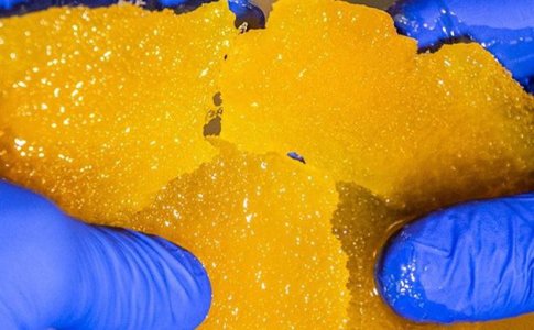 концентрат каннабиса концентрат каннабиса