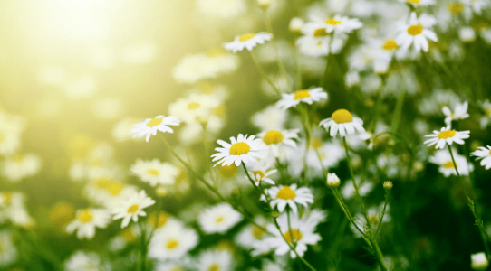 1617987710689.png 1617987710689.png