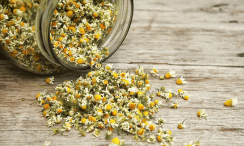 1617987771460.png 1617987771460.png