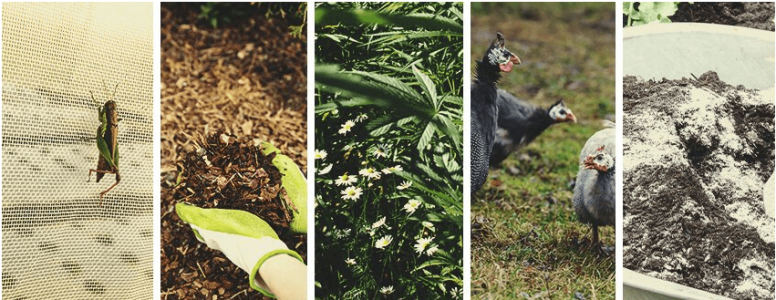 1621096617533.png 1621096617533.png