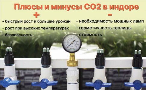 Углекислый газ для конопли Углекислый газ для конопли