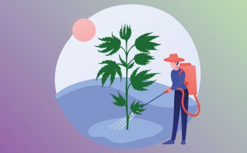 Удобрения для автоцветов Удобрения для автоцветов