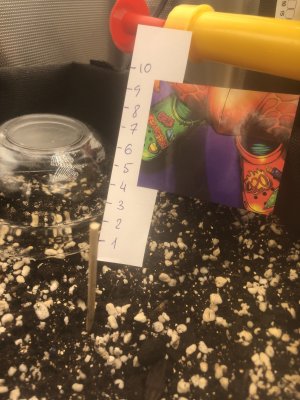 1036914F-68FA-403B-9D01-D8A218A2B5F5.jpeg 1036914F-68FA-403B-9D01-D8A218A2B5F5.jpeg