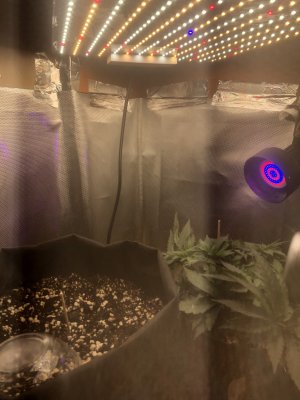 F7E8CE28-EB17-4A6B-B3B6-FAA9FF33ABEF.jpeg F7E8CE28-EB17-4A6B-B3B6-FAA9FF33ABEF.jpeg