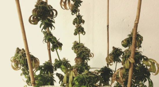 1666101151255.png 1666101151255.png