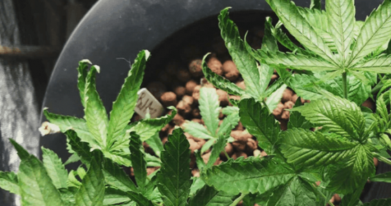 1666102210198.png 1666102210198.png