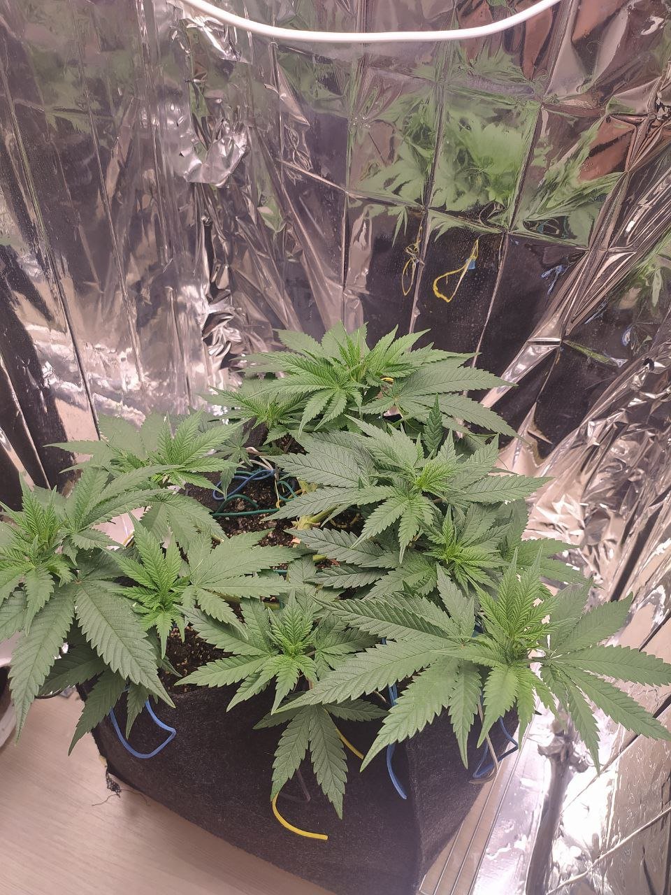 1 — копия.jpg