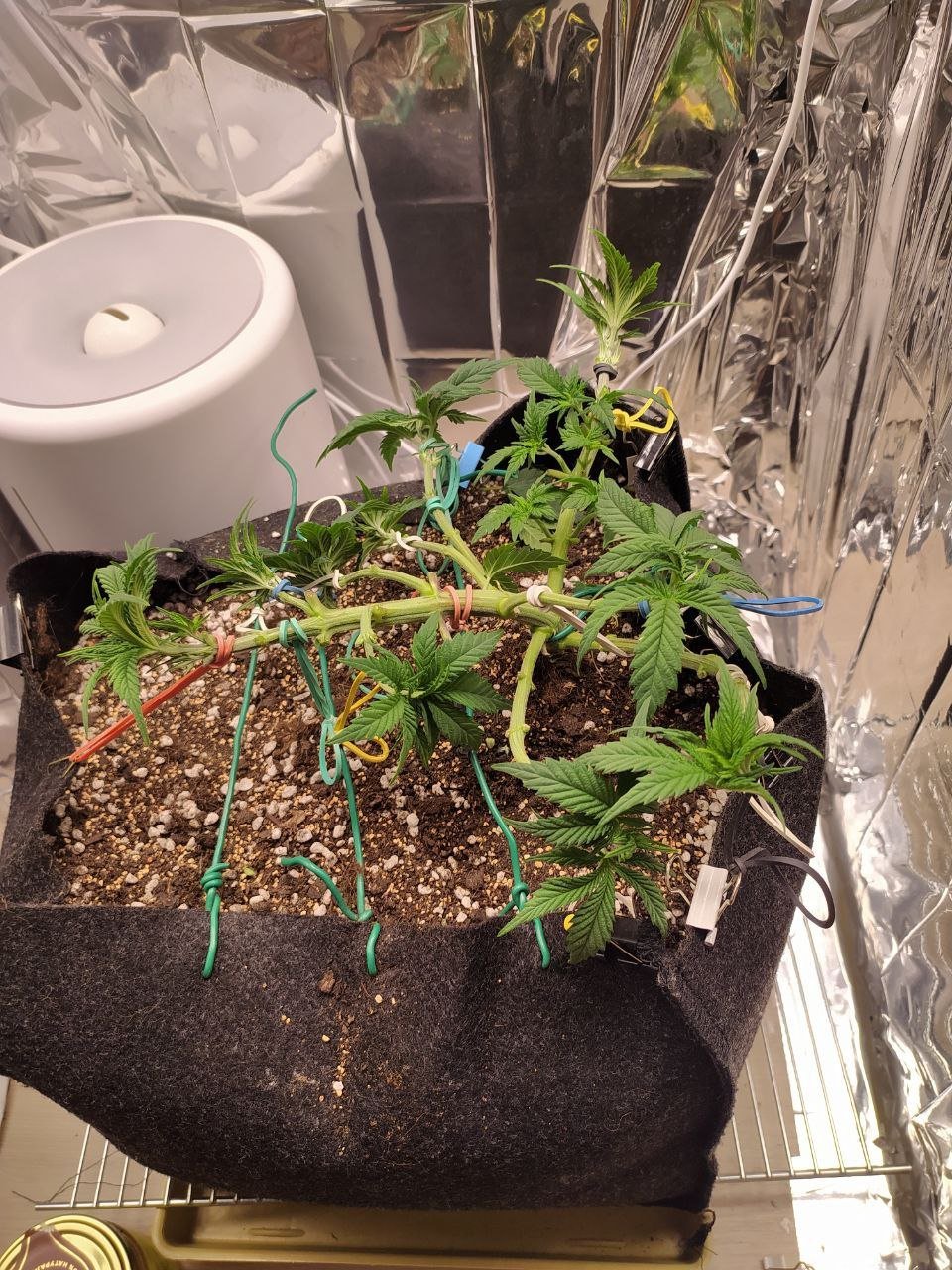 3 — копия.jpg