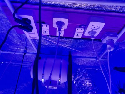 IMG_6753.JPG IMG_6753.JPG