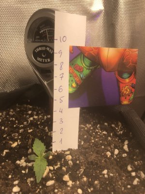 C6A3557A-999F-4535-BE33-60AA134B387C.jpeg C6A3557A-999F-4535-BE33-60AA134B387C.jpeg