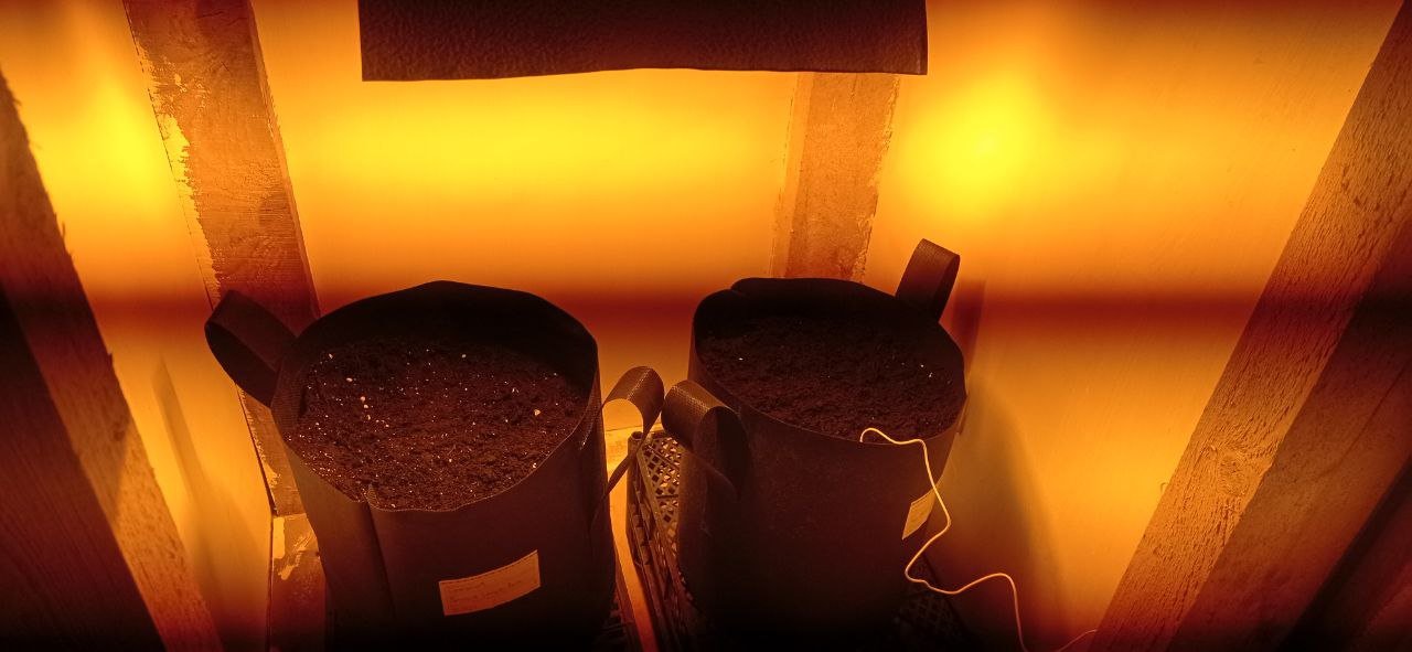 горшки.jpg горшки.jpg