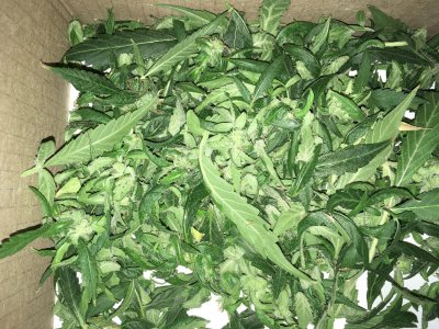 28 (13).JPG 28 (13).JPG