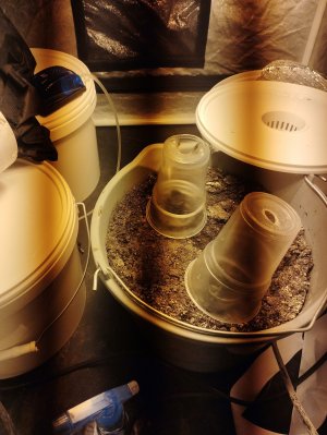 IMG_20221026_230811.jpg IMG_20221026_230811.jpg