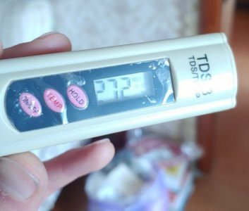 IMG_20221031_121210_367.jpg IMG_20221031_121210_367.jpg