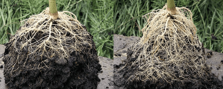 1667248017186.png 1667248017186.png