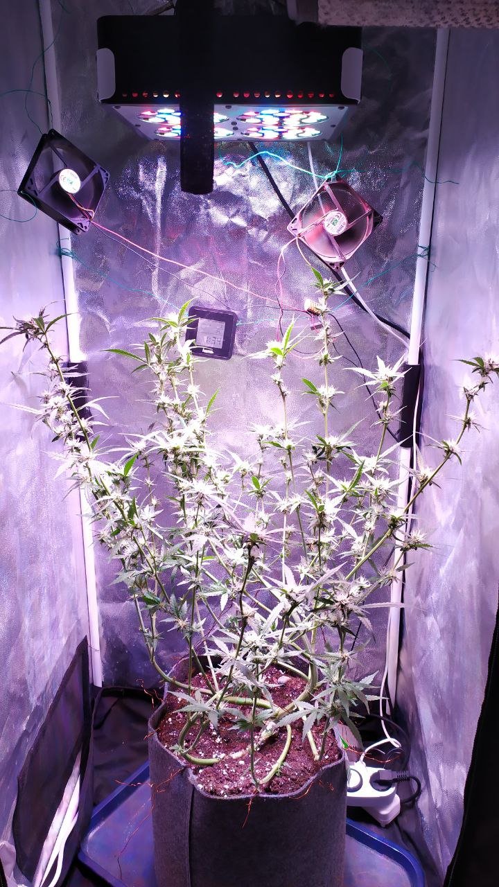 photo_2022-11-06_14-38-44.jpg photo_2022-11-06_14-38-44.jpg