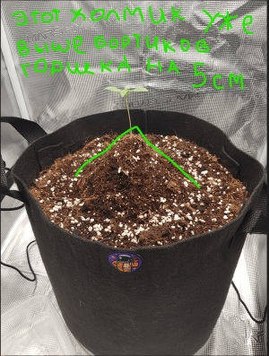 Снимок экрана 2022-11-10 105840.png