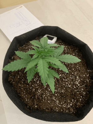 1668152092694.png 1668152092694.png