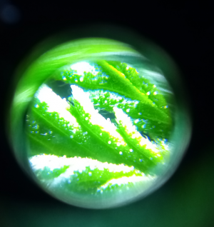 PSX_20221112_113019.png PSX_20221112_113019.png