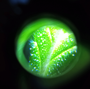 PSX_20221112_112930.png PSX_20221112_112930.png