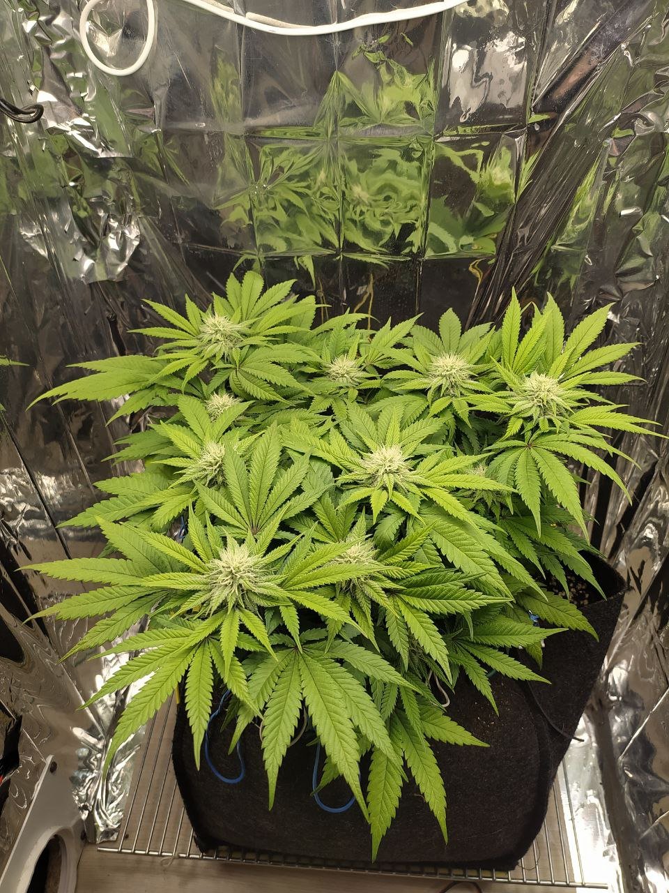 30 — копия.jpg