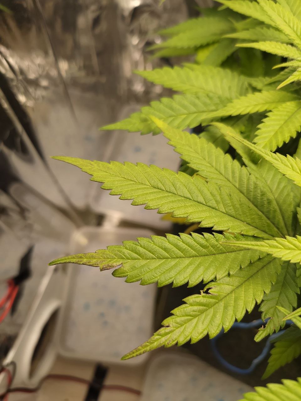 352 — копия.jpg