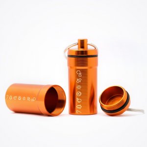 gifrt_1999_capsule.jpg gifrt_1999_capsule.jpg