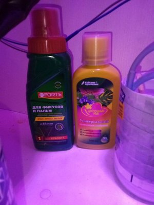 PSX_20221115_201432.jpg PSX_20221115_201432.jpg