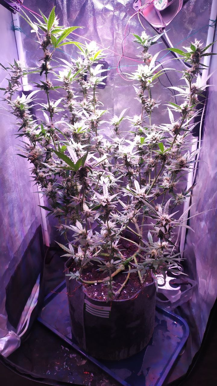 photo_2022-11-15_19-13-03 (2).jpg