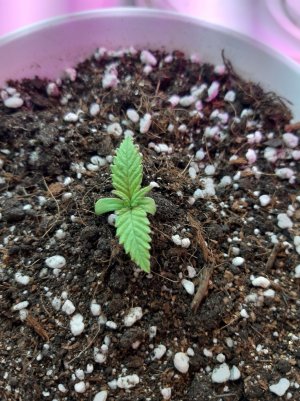 20221116_092408.jpg 20221116_092408.jpg