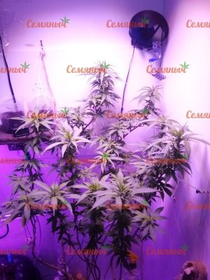 2025-wm-61904.60000002384_watermarked.jpg 2025-wm-61904.60000002384_watermarked.jpg