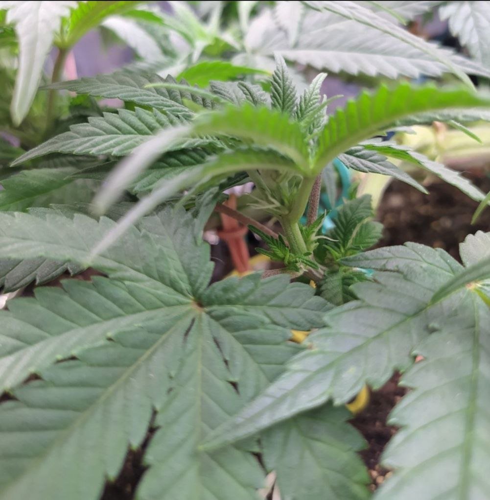 45 — копия.jpg