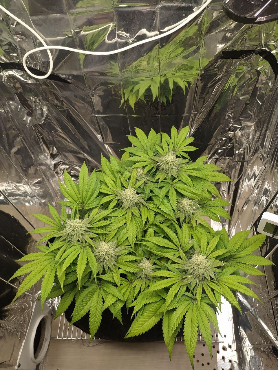 75 — копия.jpg