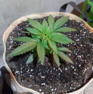 20221118_110022.jpg 20221118_110022.jpg