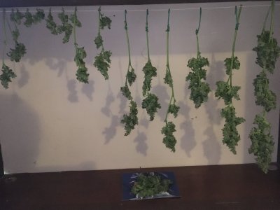 28 (37).JPG 28 (37).JPG