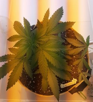 20221120_114048.jpg 20221120_114048.jpg