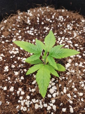 20221120_105521.jpg 20221120_105521.jpg