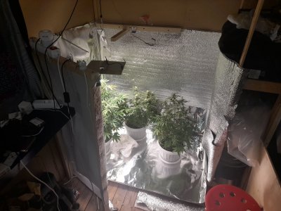 20221125_213511.jpg 20221125_213511.jpg