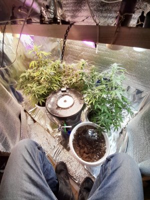 20221126_002534.jpg 20221126_002534.jpg