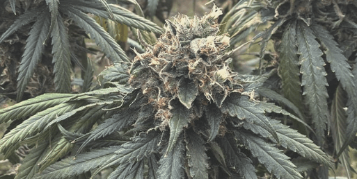 1669547647832.png 1669547647832.png