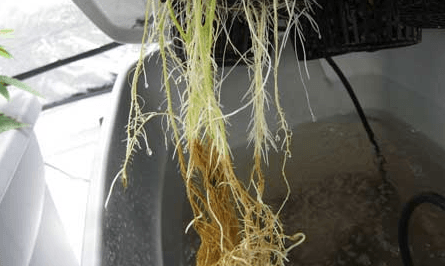 1669547867088.png 1669547867088.png