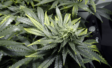 1669547966119.png 1669547966119.png