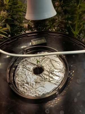 20221127_181706.jpg 20221127_181706.jpg