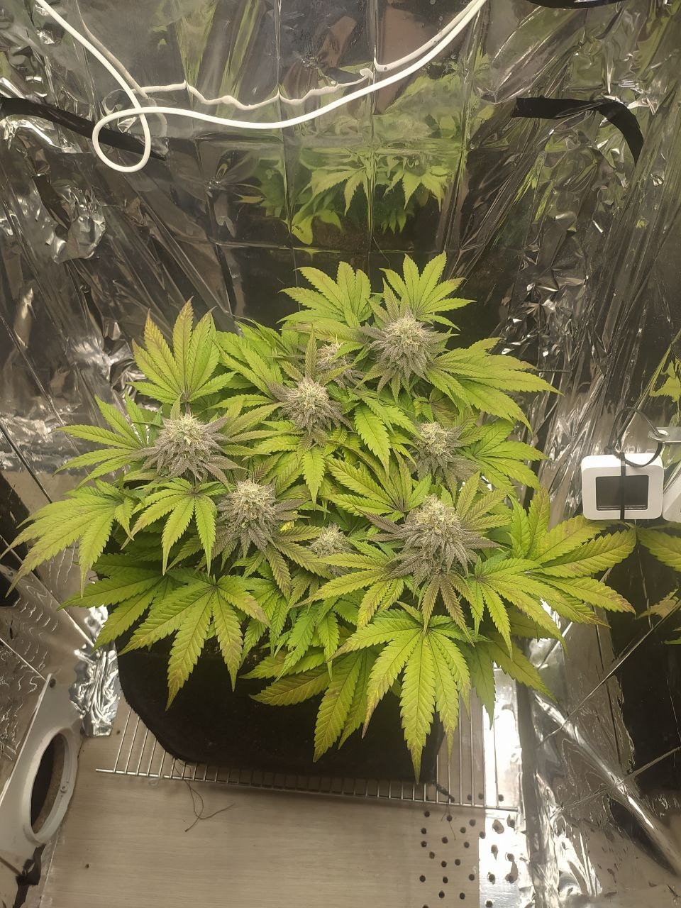 1 — копия.jpg