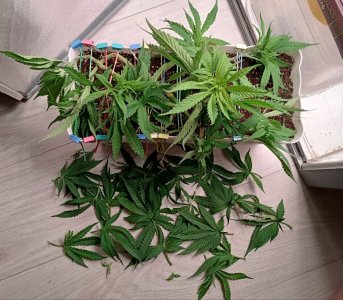 imgonline-com-ua-dexifqPDViaJrrQAI.jpg imgonline-com-ua-dexifqPDViaJrrQAI.jpg