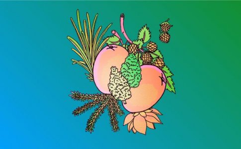 Манго и конопля