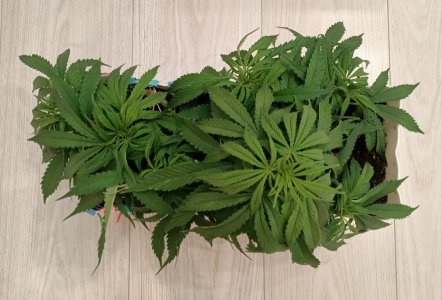 imgonline-com-ua-dexifWMKFhe1NQHZl.jpg imgonline-com-ua-dexifWMKFhe1NQHZl.jpg