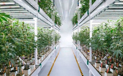 чистота - залог успеха