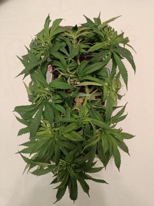 imgonline-com-ua-dexifx0QylIW4kLXM.jpg imgonline-com-ua-dexifx0QylIW4kLXM.jpg