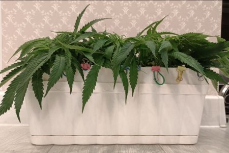 imgonline-com-ua-dexifygxyLspOIQfj.jpg imgonline-com-ua-dexifygxyLspOIQfj.jpg